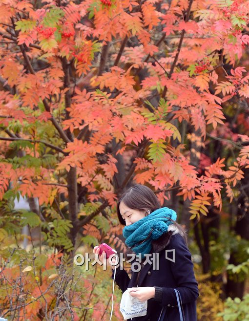 [포토]성큼 다가온 겨울 