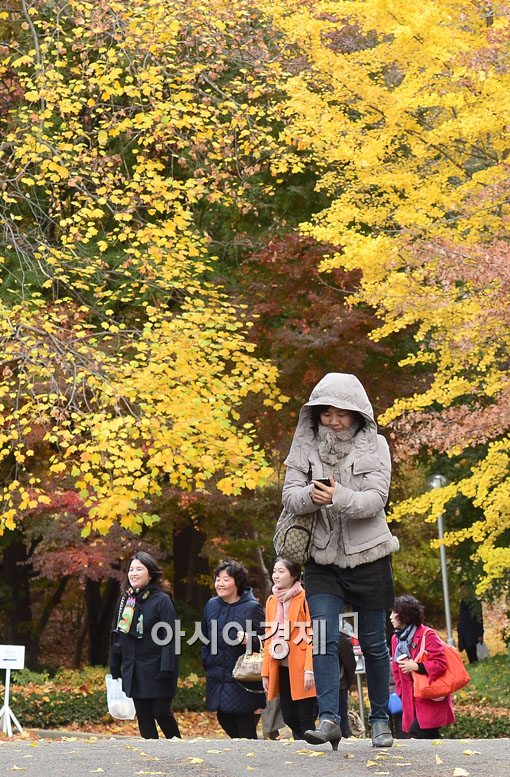 [포토]가을비 지나가고 겨울 추위 다가오고 