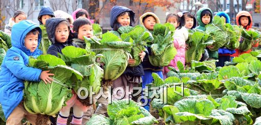 [포토]'제가 수확한 배추에요~'