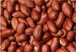 땅콩 칼로리 공개 "다이어트할 때 왜 땅콩 먹나 봤더니"