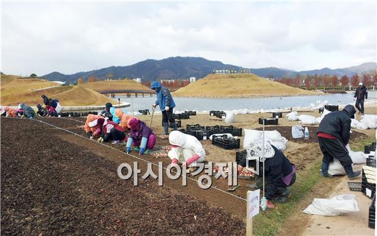 순천만정원 내 튤립 정원 조성중