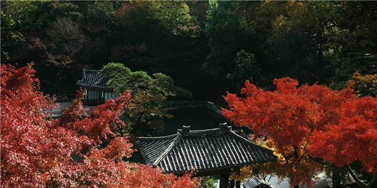 배병우, 'BWN1A-022HC', 153*275cm, 1996년.