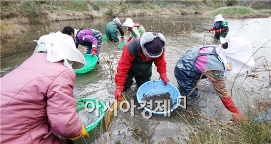 [포토]강진 옴천 토하 잡이 한장