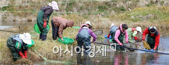 [포토]강진 옴천 토하 잡이 한장