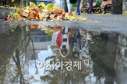 [포토]겨울을 데리고 온 가을비 