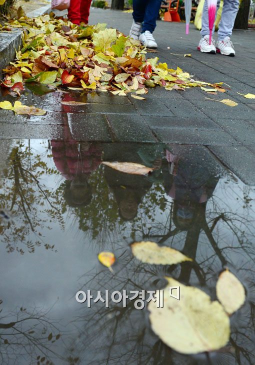 [포토]낙엽은 지고 찬바람 불고 