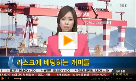 리스크에 베팅하는 개미들