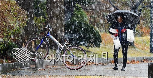 [포토]많은 눈 내리는 도심 공원