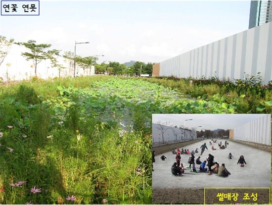 뚝섬 서울숲 연꽃 연못이 썰매장으로 변모하게 된다.