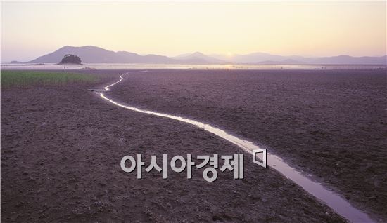 순천만, 환경부 지정 전국 12대 생태관광지역 선정 쾌거