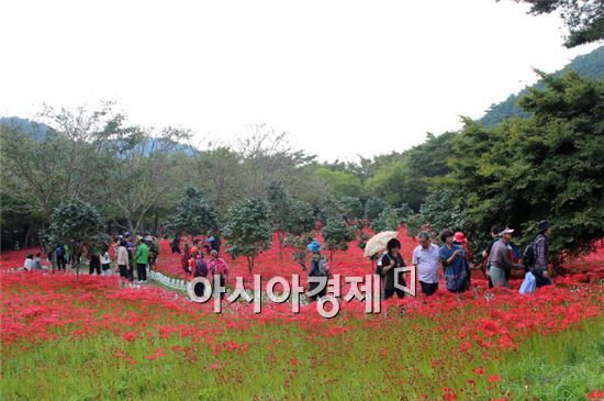 영광군, 2013년 군정 주요성과 10대 뉴스 선정 발표