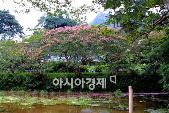 장흥군 '상선약수 마을' 자연생태우수마을 선정