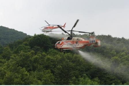 전남도, 재선충병 청정지역 회복활동 본격 돌입