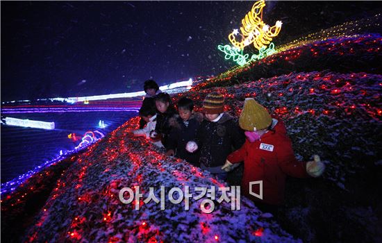 [포토]겨울밤이 아름다운 보성녹차밭