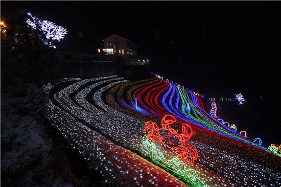 보성차밭 빛축제 13일 개막…전구 120만개의 향연