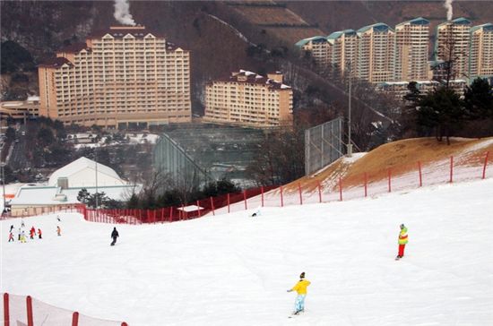 대명리조트 겨울성수기 특별혜택 만기시 분양금 전액환급!!