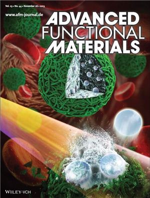 연구결과가 실린 Advanced Functional Materials紙의 2013년 표지 이미지.
