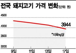 왜 이런 '돼지'?…돼지고기값 3000대로 '뚝'