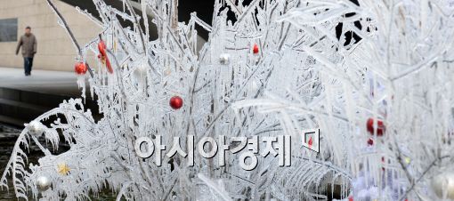 [포토]'추운 겨울 날씨 속 얼음 나무'