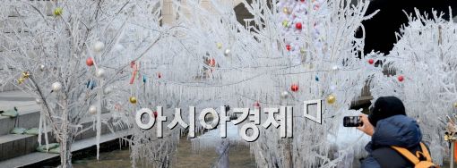 [포토]인공 얼음나무, 추워도 사진찍기