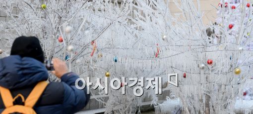 [포토]신기한 인공 얼음나무