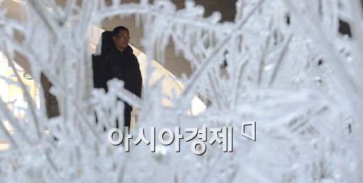 [포토]'얼음나무에 갇힌 시민들'