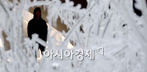 [포토]얼음나무에 갇힌 시민, '춥다 추워'