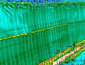 장흥군, 시설원예 열손실 진단 현장 기술 지원