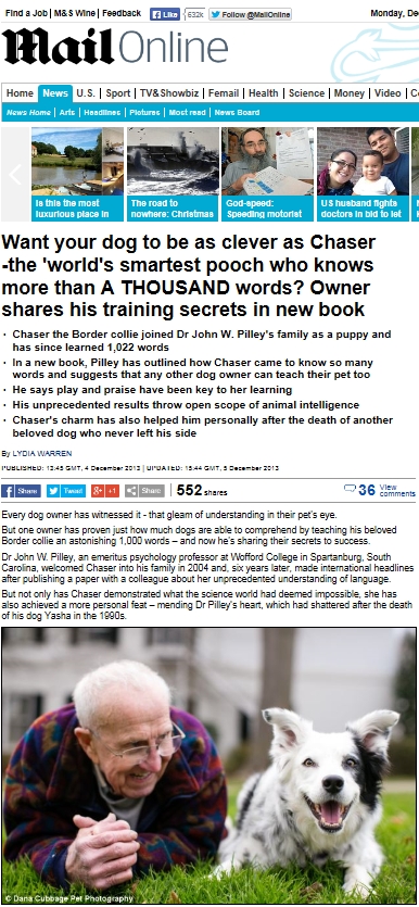 3살 지능 천재 견공, '단어 습득에 이어 이번에는…'