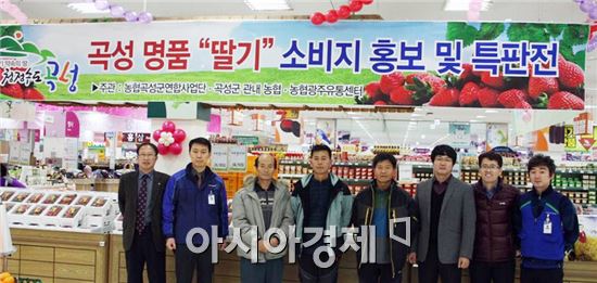 약속의 땅 청정수도 곡성 명품 ' 딸기' 사세요