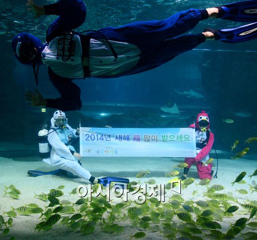 [포토]'화려한 수중 새해 인사'