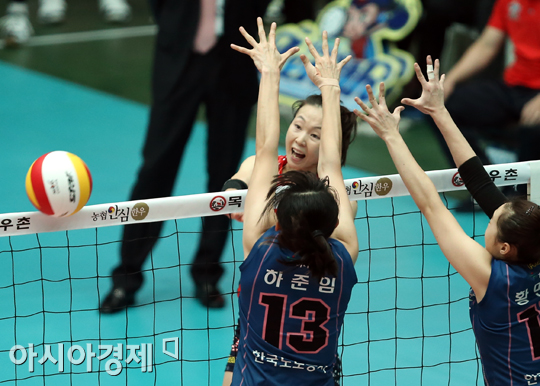 [포토] 백목화 '빈 곳을 노린다!'