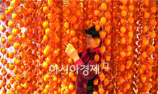 호랑이도 울고 가는 '장성 대봉곶감' 본격 출하