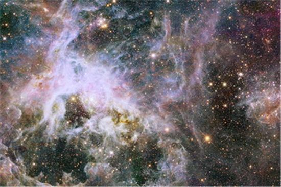 허블망원경이 촬영한 독거미 성운의 모습은?