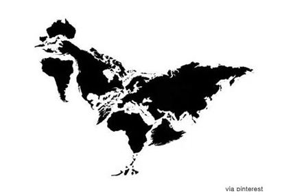 닭 모양 세계지도 '한국'은 어디에?