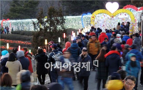 [포토]보성차밭 빛 축제 주말 관광객 북적