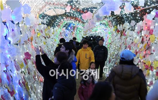 [포토]보성차밭 빛 축제 주말 관광객 북적