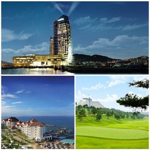 대명리조트 전액환불형 스위트 회원권 인기리 분양!        