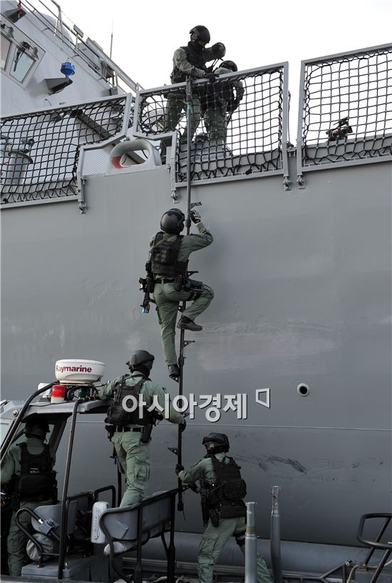 해군의 실력 보여준 '아덴만 여명작전'