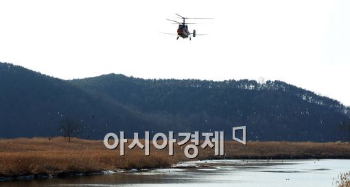 [포토]시화호, AI항공방제 실시