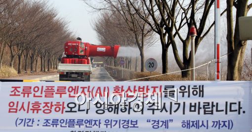 [포토]시화호, 조류 인플루엔자 방제 실시