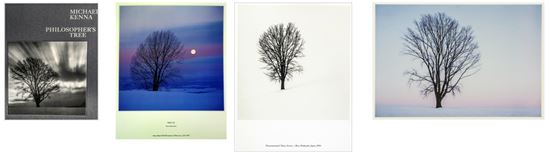 왼쪽 사진은 마이클 케나의 한국 전시 사진집 표지. 옆으로 석양이 들어 있는 나무사진은 일본 사진작가 하루오 기쿠치의 작품집 표지. 두 사람 모두 '철학의 나무'를 배경으로 사진을 찍었다. 오른쪽 가운데 사진은 마이클 케나가 일본에서 철학의 나무를 배경으로 찍은 사진이며 오른쪽 가장 끝 사진은 일본작가 히로아끼 오구라의 작품으로 엽서사진이다. 