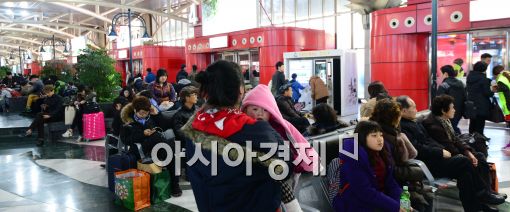 [포토]'언제쯤 고향으로 갈까?'