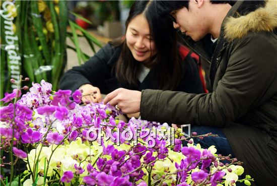 [포토]'입춘 D-2'