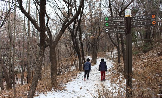 눈 쌓인 동작충효길 함께 걸어봐요