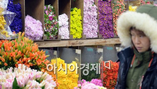 [포토]두터운 외투입고 꽃시장 찾은 시민