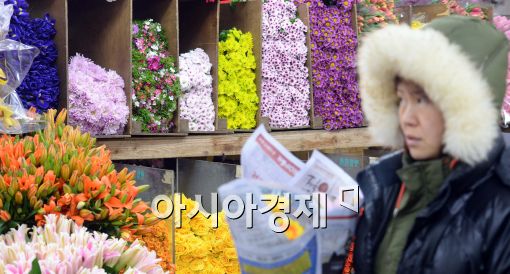 [포토]한파 속에 꽃시장 찾은 시민