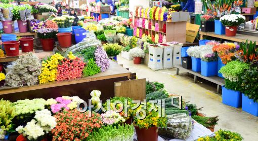 [포토]한산한 꽃시장