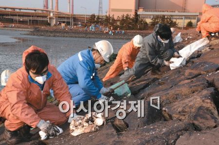 지난 3일 광양 원료공장 및 패밀리사 직원 150여명이 제철소 원료부두 인근 해안가에서 기름흡착포로 바위에 묻은 기름을 제거하고 있다. (사진제공=포스코)