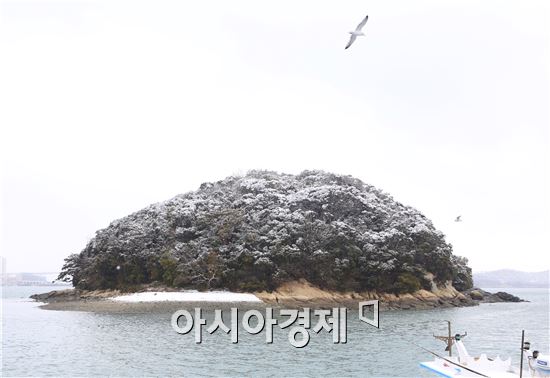 [포토]함박눈 내린 완도 겨울 풍광 